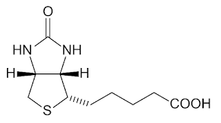 Vitamin H chemical structure