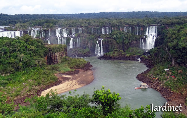 Macuco Safary - Cataratas