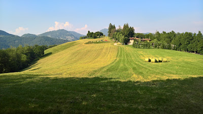 View of farm near Villa Pighet.