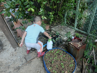 Seronoknya luangkan masa ajar anak-anak berkebun