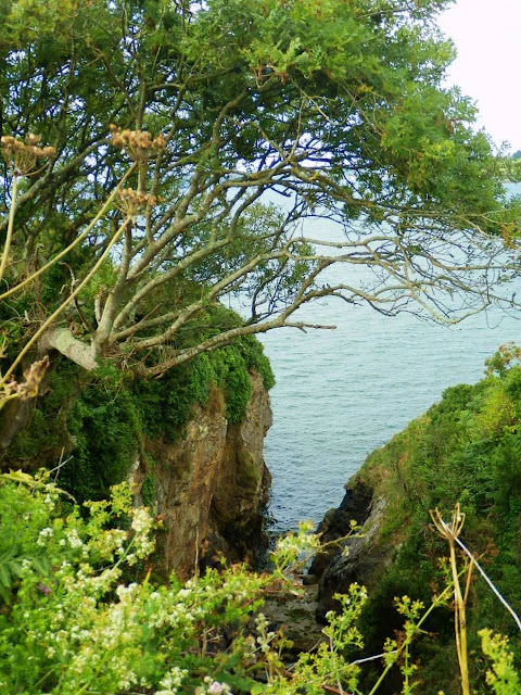 A long drop form Cornwall's coastal path