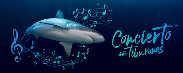 Concierto de Tiburones
