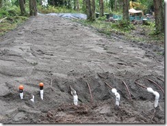 Septic Instl - Day 8 001