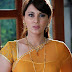 Actress Minissha Lamba Saree Wallpapers|Minissha Lamba Hot Saree Pics| Minissha Lamba Hot Saree Images