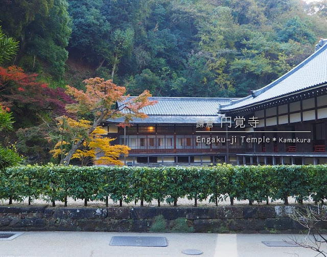 円覚寺･大方丈の紅葉：