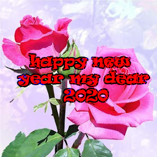 happy new year 2020 gift image