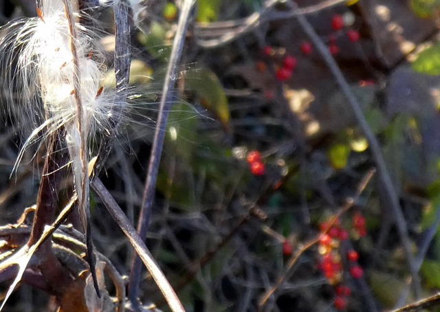 P1080395