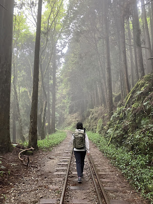 嘉義,阿里山,眠月線,沼平車站