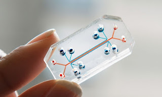 Organ-On-Chips Market