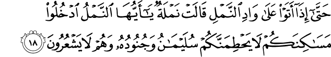 Surat An Naml ayat 18