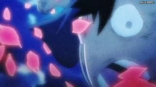 ワンピースアニメ 1034話 ルフィ Monkey D. Luffy | ONE PIECE Episode 1034