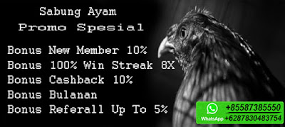 Memahami Ciri Agen Terpercaya Judi Sabung Ayam Online Sv388 (sv288)