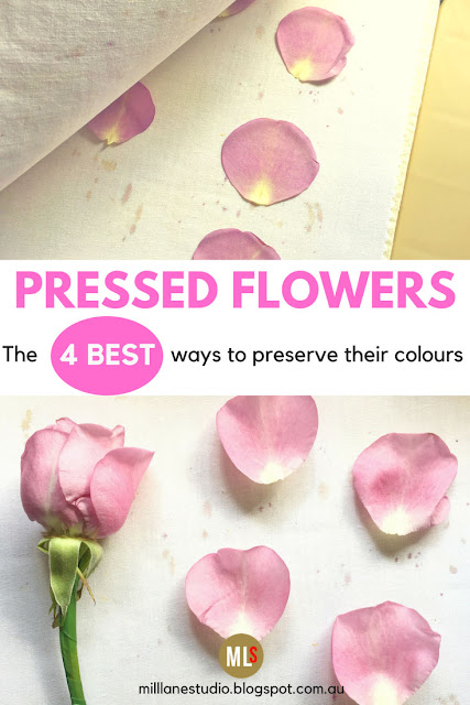 Pressed pink rose petals compared with fresh pink rose petals inspiration sheet