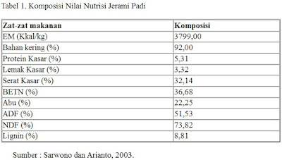 KANDUNGAN NUTRISI JERAMI PADI