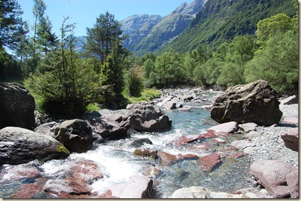 la pineta