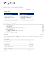 Natixis Income Diversified A