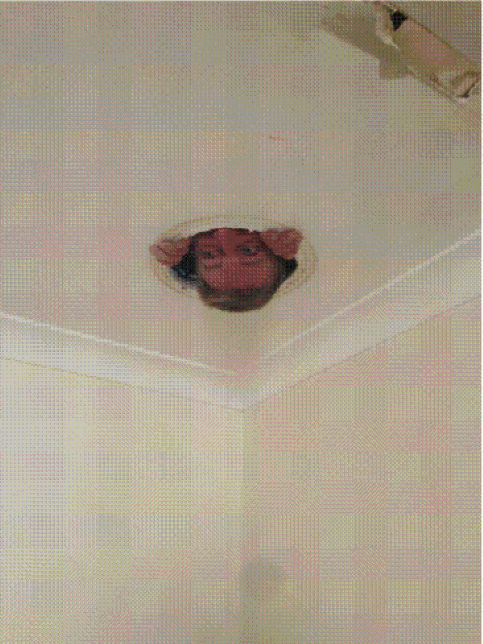 clip_image006