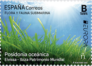 FLORA Y FAUNA SUBMARINA. POSIDONIA OCEÁNICA