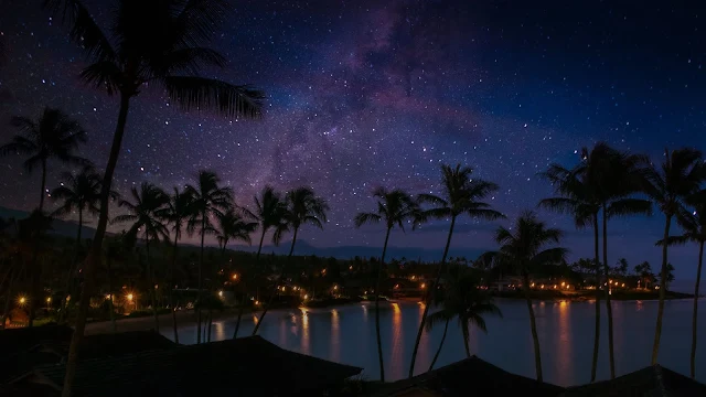 Starry Night, Beach, Sea, Palm Trees