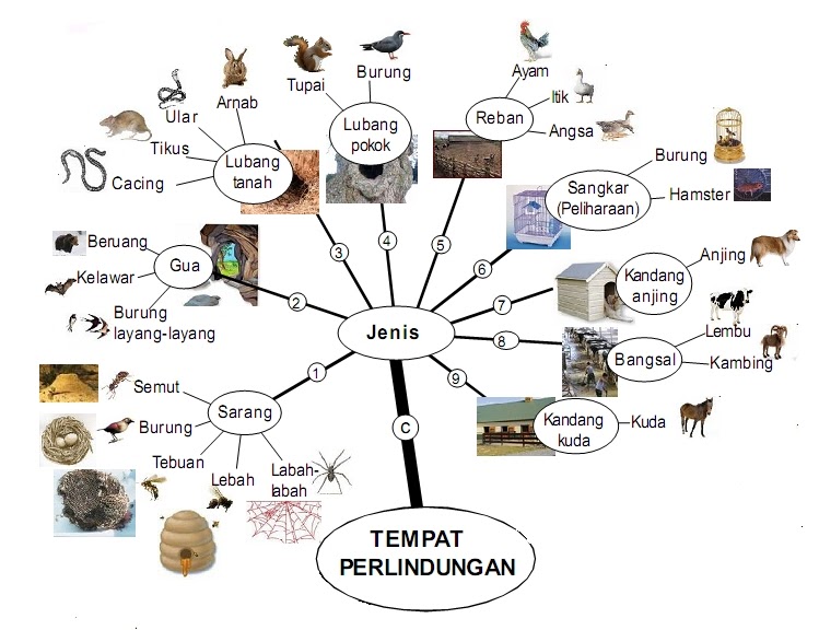 JENIS TEMPAT PERLINDUNGAN HAIWAN  PANITIA SAINS SK LUBUK 