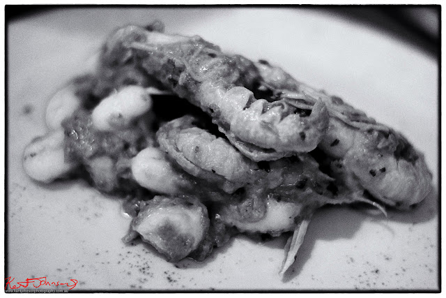 Scampi gnocchi at Trattoria Da Oscar Monterosso al Mar. Photo by Kent Johnson