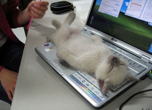 picdump_0106_42