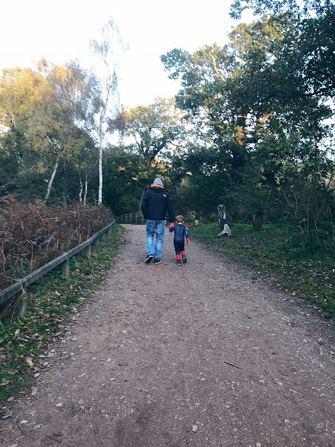 Little boy walking hand in hand with his Daddy on a woodland path