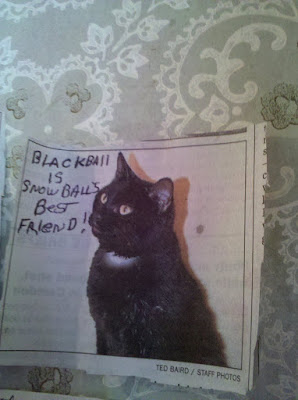 Blackball is Snowball's Best Friend!