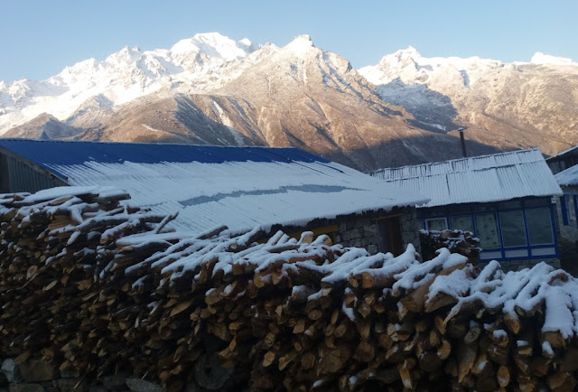 Langtang Valley and Gosaikunda Trekking, kyanjin Gompa