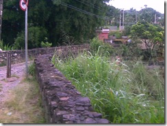 Imagem0066