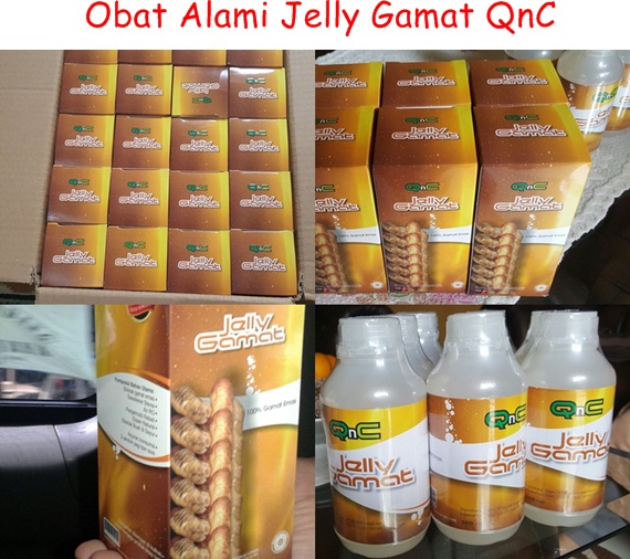 Obat Jelly Gamat QnC