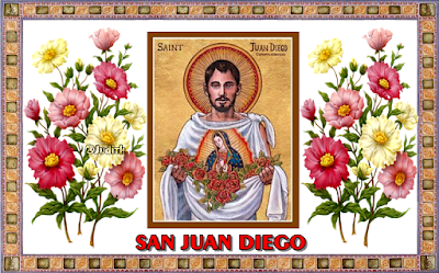 Resultado de imagen para san juan diego png