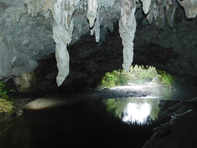 DSCN5633