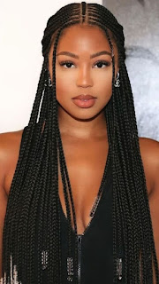 Fulani Braids Hairstyle