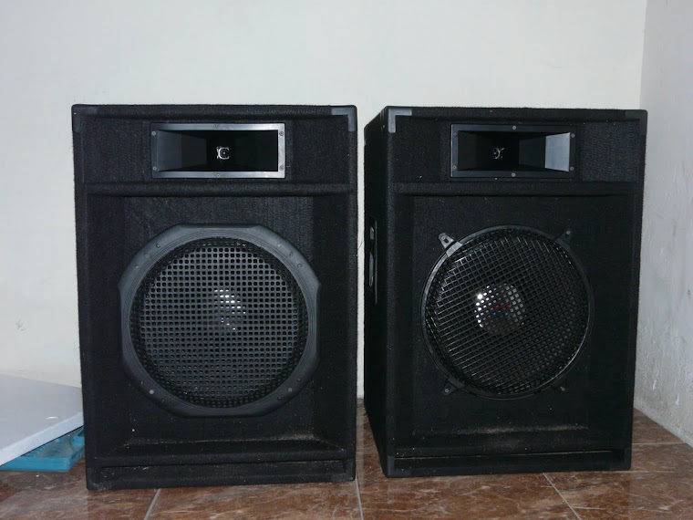 speaker 2 way 15 inch karpet