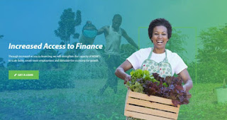 Business Startup Loans from Development Bank of Nigeria