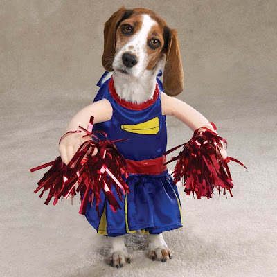 12 Creative and Unusual Dog Costumes (12) 8