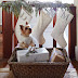 Christmas Decorating 2012 Ideas for Small Spaces