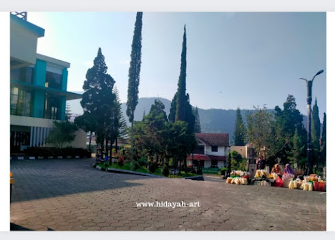 Hotel di Karanganyar Buat Ngadem Sambil Honeymoon