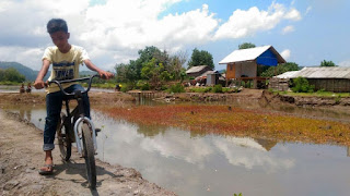 Berwisata sepeda di Kawasan Ekowisata Mangrove Bagek Kembar