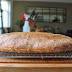 Whole Wheat Ciabatta – Not Bad, Which is Great!