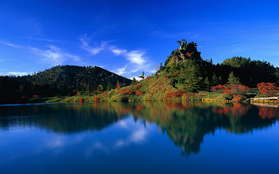 Autumn Trees Japan