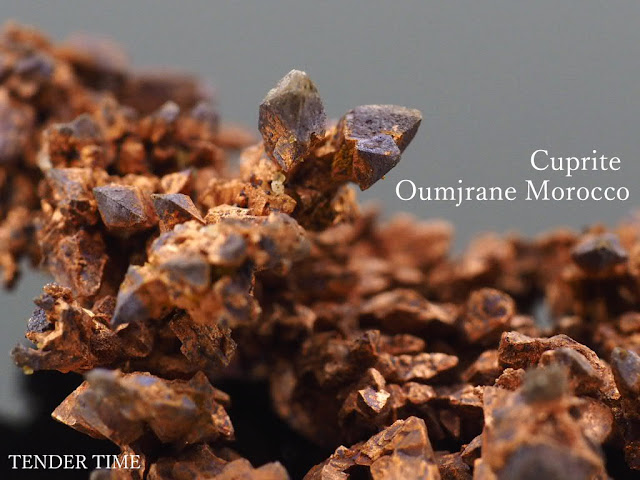 Cuprite Cuprite Oumjrane Morocco　キュプライト キュープライト 赤銅鉱