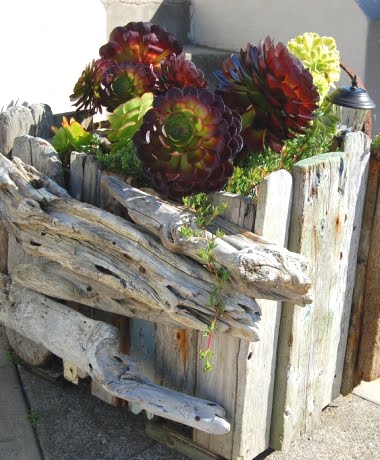 Recycled Drift Wood Garden Fence &amp; Planters - Coastal 