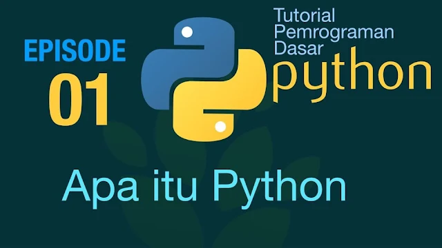 Tutorial Belajar Coding Python untuk Data Science, Langsung Handal Tanpa Ikut Kursus