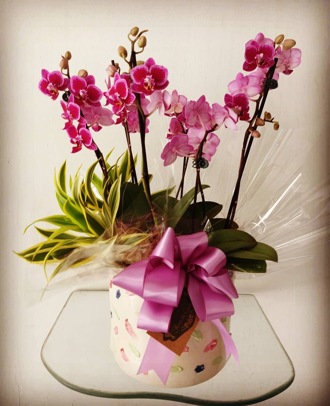 Orquídea Un regalo de los dioses