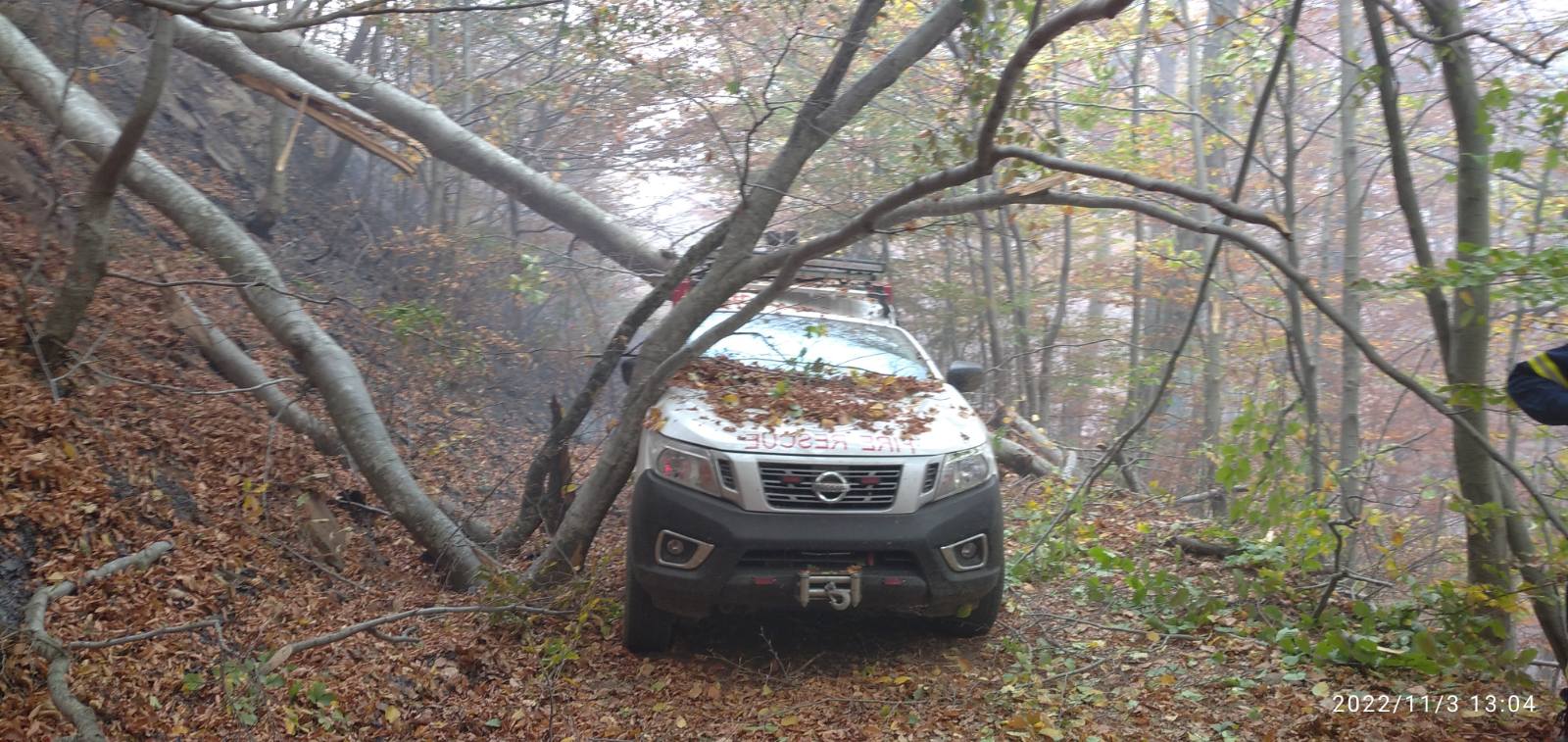 Παπίκιο Όρος: Δέντρα καταπλάκωσαν όχημα – Σώθηκε από θαύμα εθελοντής