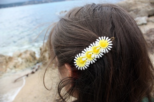barrette