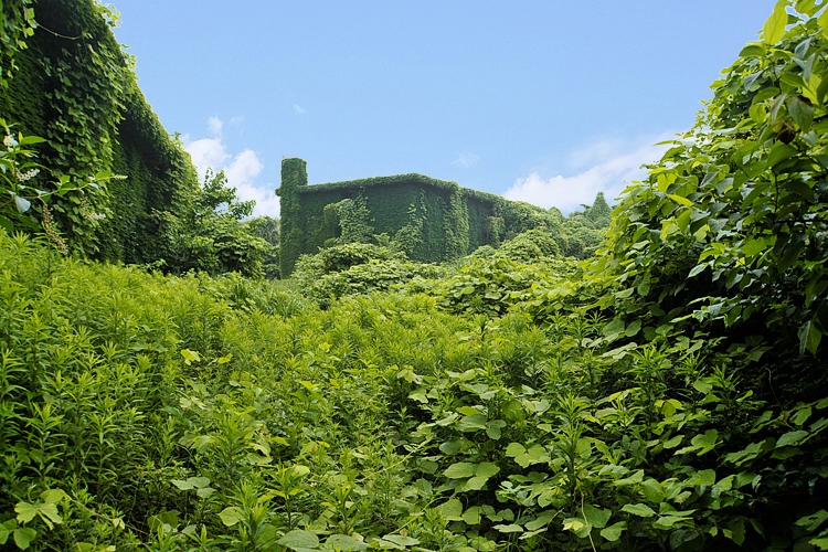 スゴログ 府中米軍基地 廃墟