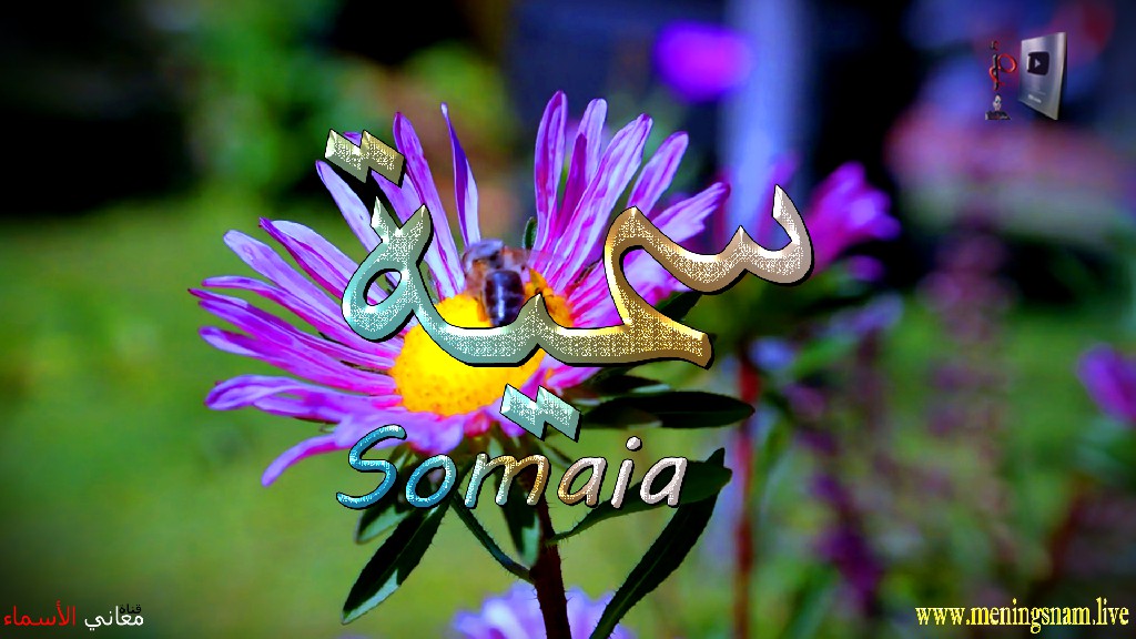 معنى اسم, سمية, وصفات, حاملة, هذا الاسم, Somaia,